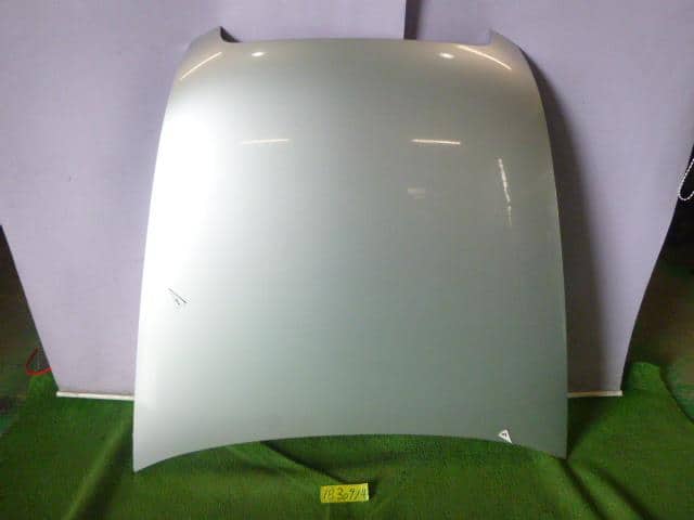 Bonnet Hood AUDI Audi a6 2005 GH-4FAUKS — photo 1