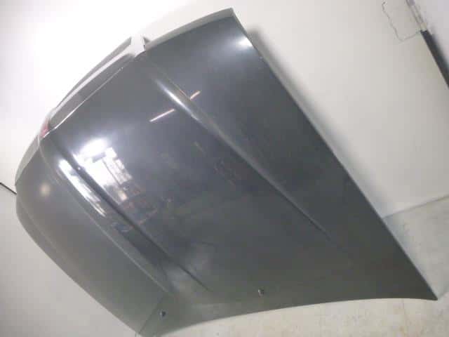 Bonnet Hood FORD Lincoln navigator 2005 FUMEI — photo 3