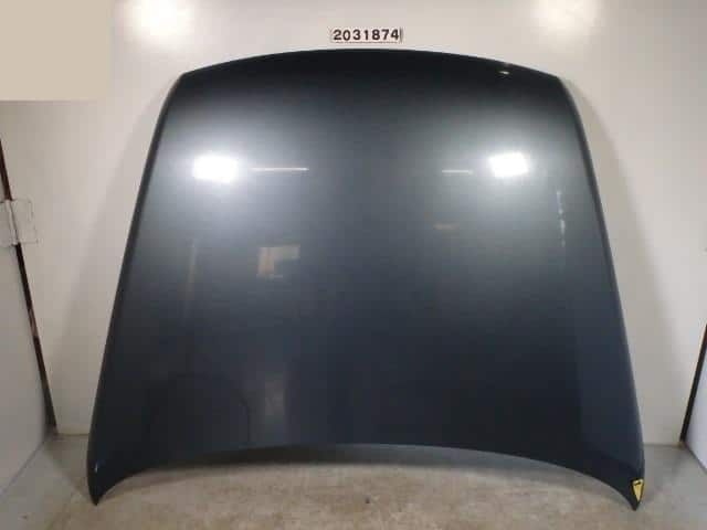 Bonnet Hood VOLKSWAGEN Touareg 2004 GH-7LAZZS — photo 1