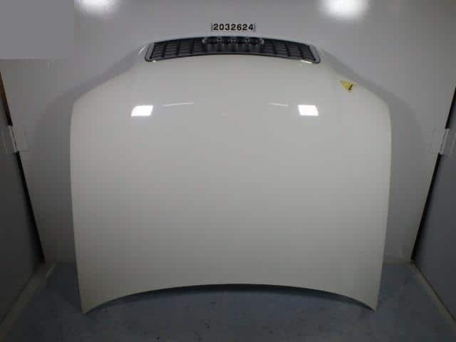 Bonnet Hood AUDI Audi a4 2004 GH-8EALT — photo 1