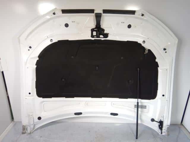Bonnet Hood AUDI Audi a4 2010 ABA-8KCDNF — photo 4