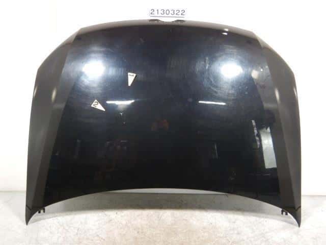 Bonnet Hood VOLKSWAGEN Polo 2011 DBA-6RCBZ — photo 1