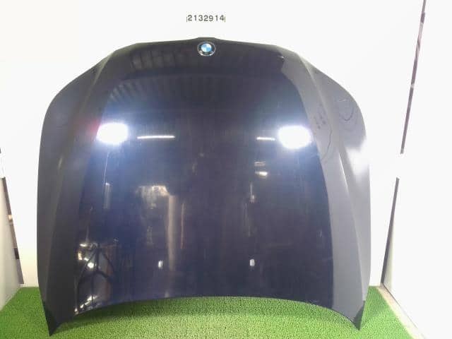 Bonnet Hood BMW 5 Series 2009 ABA-PU25 — photo 1