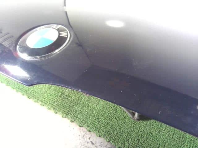 Bonnet Hood BMW 5 Series 2009 ABA-PU25 — photo 2
