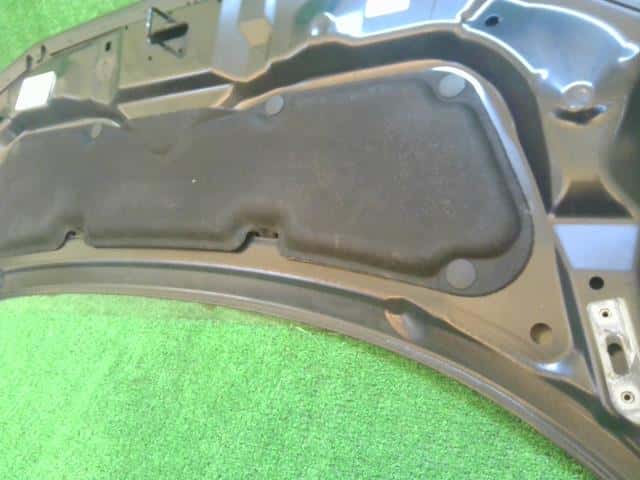 Bonnet Hood HONDA Step Wagon 2010 DBA-RK5 — photo 9