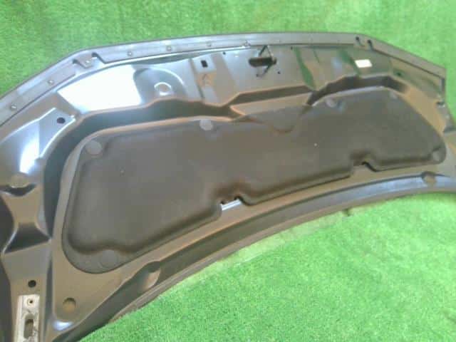 Bonnet Hood HONDA Step Wagon 2010 DBA-RK5 — photo 6