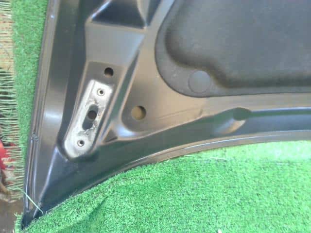 Bonnet Hood HONDA Step Wagon 2010 DBA-RK5 — photo 8