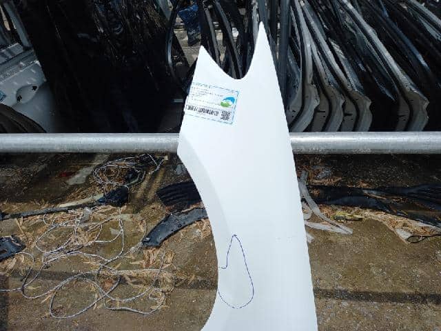 Left Fender Panel MERCEDES-BENZ 2019 — photo 2