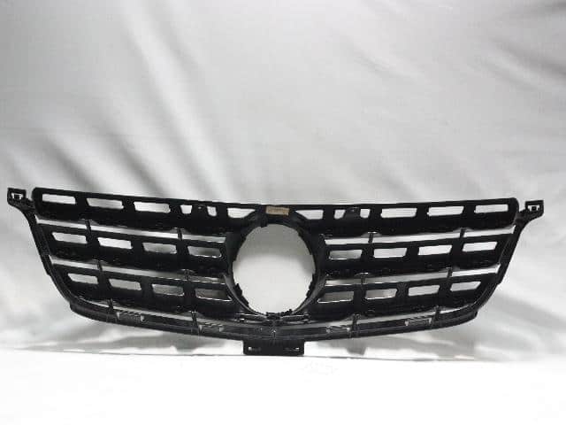 Radiator Grille MERCEDES-BENZ 2014 — photo 4