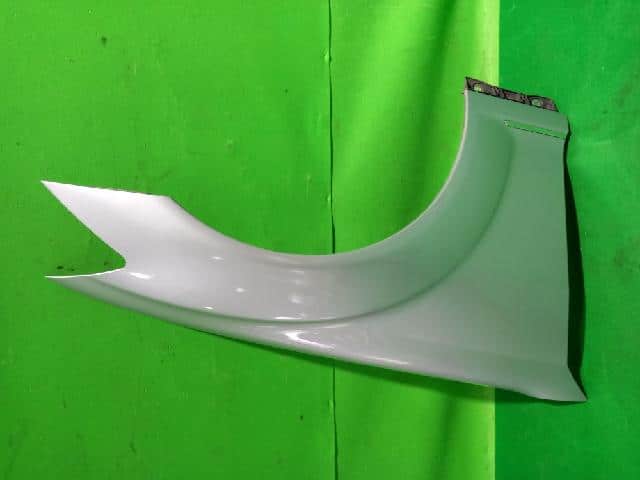Right Fender Panel MERCEDES-BENZ S-Class 2007 — photo 1