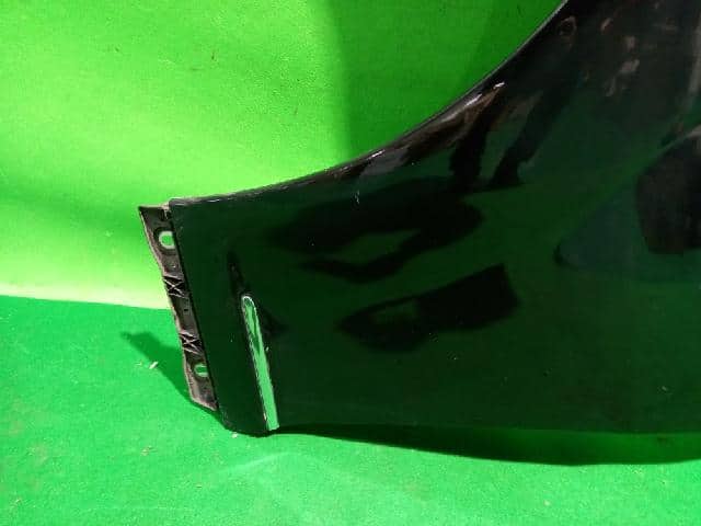 Left Fender Panel MERCEDES-BENZ S-Class 2008 — photo 3
