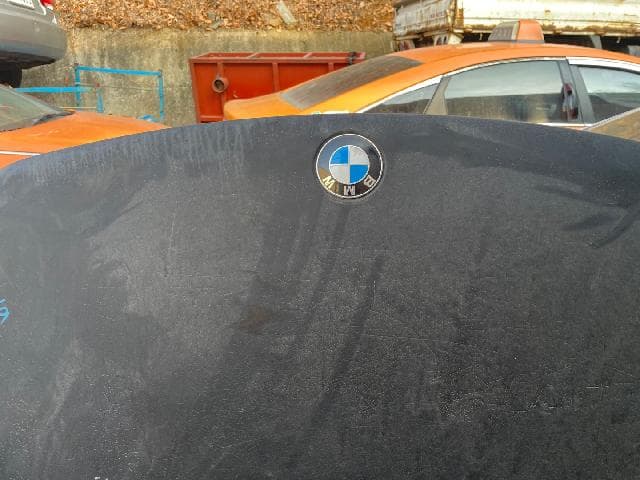 Bonnet Hood BMW 2010 — photo 3