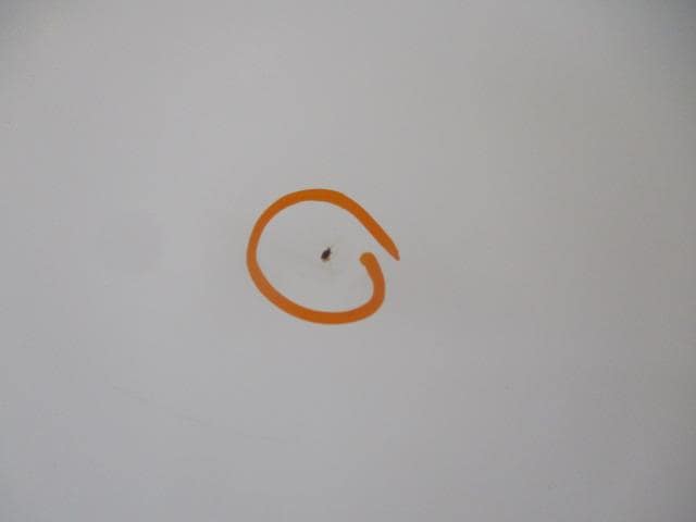 Right Fender Panel HONDA Acty 2007 GBD-HA7 — photo 5