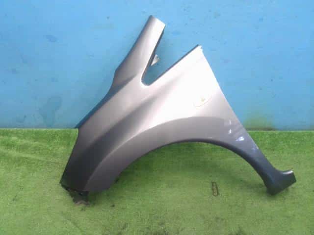 Left Fender Panel NISSAN Note 2013 DBA-E12 — photo 1