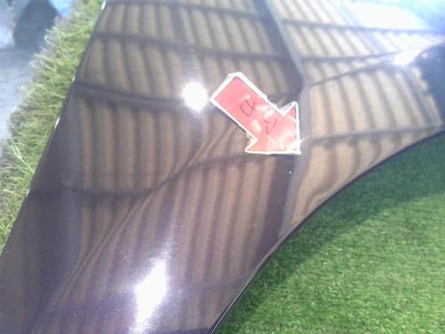 Right Fender Panel HONDA Step Wagon 2014 DBA-RK5 — photo 2