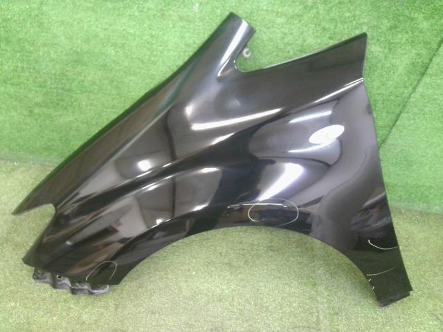 Left Fender Panel TOYOTA Wish 2009 DBA-ZGE20 — photo 1