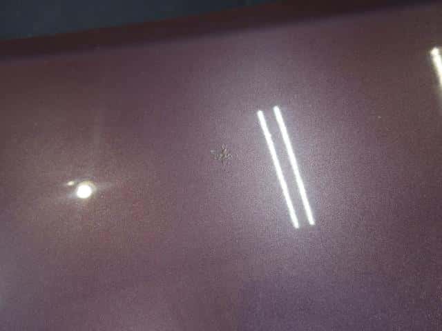 Bonnet Hood SUZUKI Palette 2010 DBA-MK21S 5730082K10 — photo 6