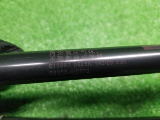 Tail Gate Damper TOYOTA Wish 2009 DBA-ZGE20 — photo 5