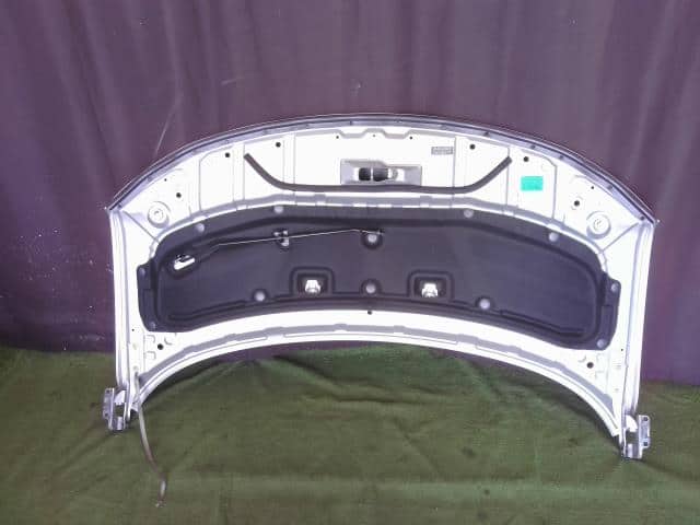 Bonnet Hood NISSAN Elgrand 2010 DBA-TE52 — photo 2