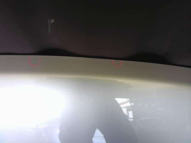 Bonnet Hood NISSAN Elgrand 2010 DBA-TE52 — photo 5