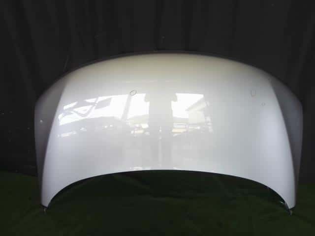Bonnet Hood NISSAN Elgrand 2010 DBA-TE52 — photo 1