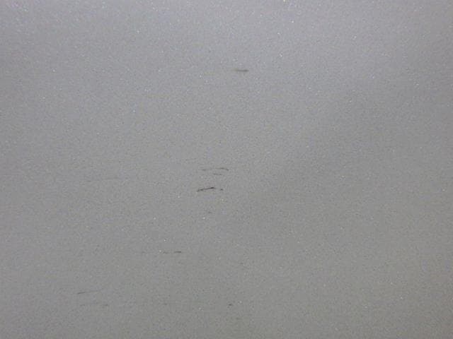 Front Left Door Assembly NISSAN Murano 2010 CBA-TZ51 — photo 5