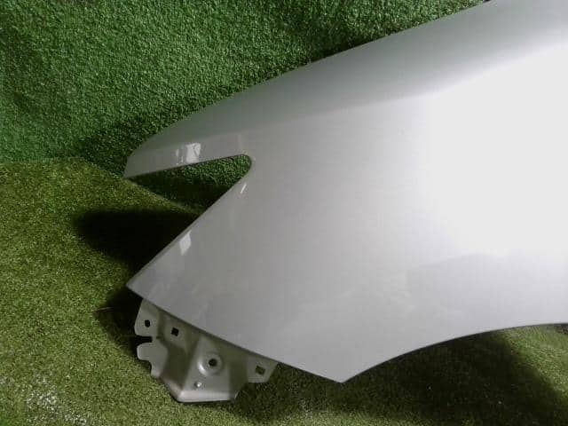 Left Fender Panel NISSAN Elgrand 2010 DBA-TE52 — photo 5