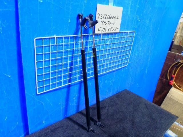 Tail Gate Damper TOYOTA Alphard 2005 CBA-ANH15W 6895058013 — photo 3