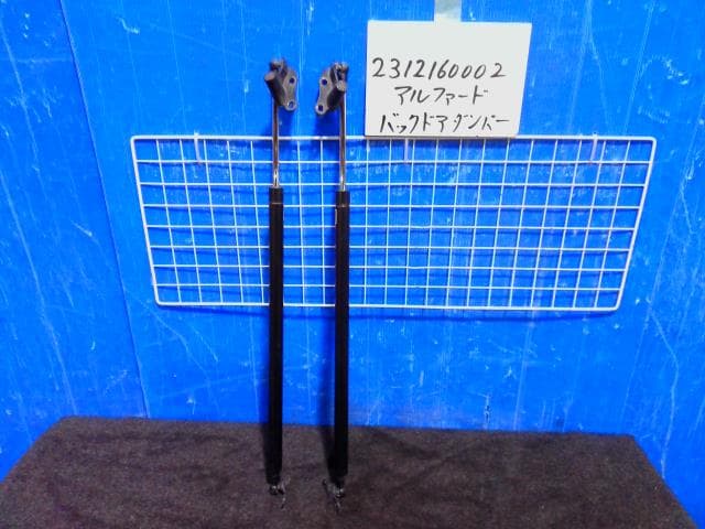 Tail Gate Damper TOYOTA Alphard 2005 CBA-ANH15W 6895058013 — photo 1