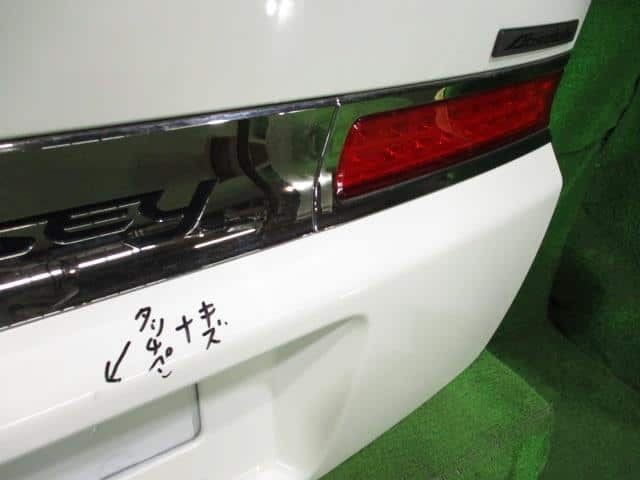 Back Door Assembly HONDA Odyssey 2006 ABA-RB2 — photo 2