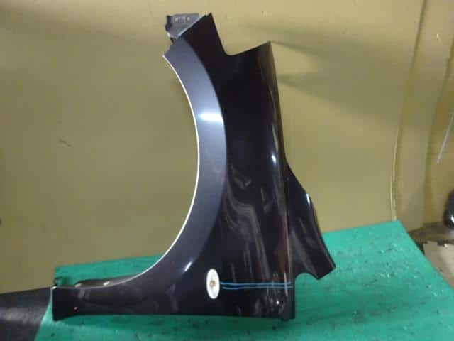 Left Fender Panel NISSAN Tiida 2009 DBA-C11 — photo 1
