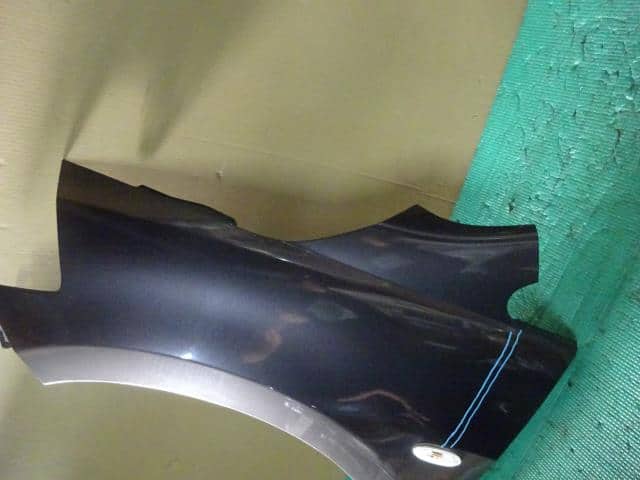 Left Fender Panel NISSAN Tiida 2009 DBA-C11 — photo 2