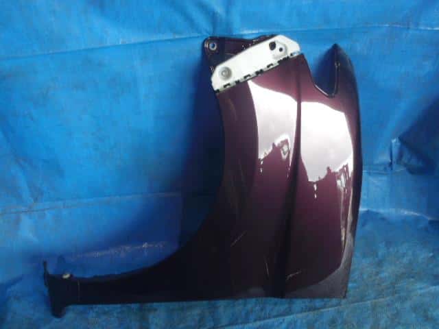 Left Fender Panel DAIHATSU Tanto 2010 CBA-L385S — photo 1