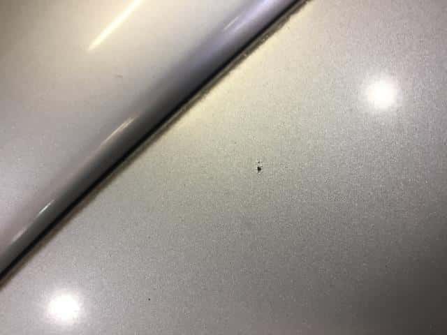Bonnet Hood HONDA Elysion 2004 DBA-RR3 — photo 4