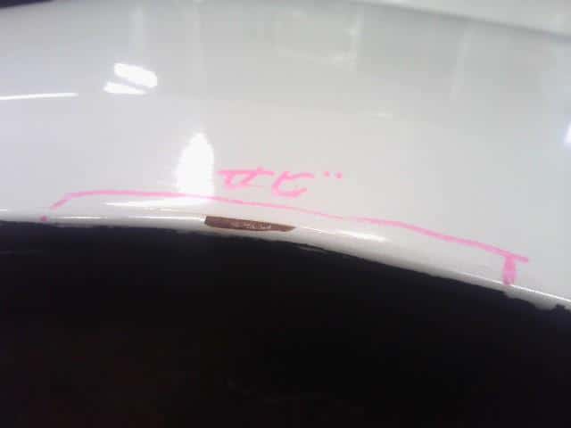 Left Fender Panel NISSAN Serena 2008 DBA-CC25 — photo 3