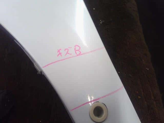 Left Fender Panel NISSAN Serena 2008 DBA-CC25 — photo 5