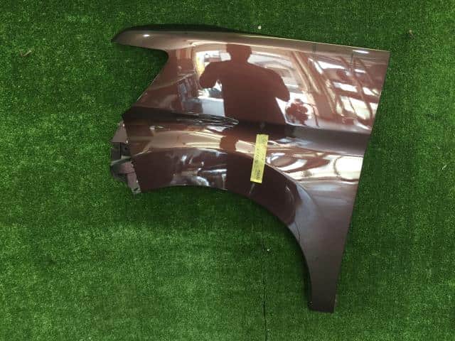 Left Fender Panel DAIHATSU Tanto 2014 DBA-LA600S — photo 1