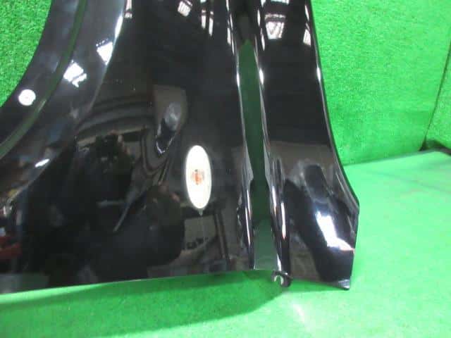 Left Fender Panel NISSAN X-Trail 2008 DBA-NT31 — photo 6