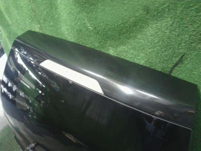 Back Door Assembly NISSAN X-Trail 2009 DBA-NT31 — photo 4