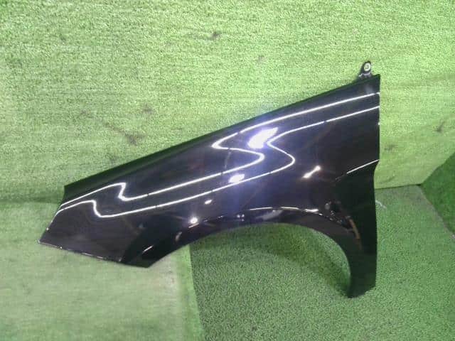 Left Fender Panel MERCEDES-BENZ Benz b class 2009 CBA-245232 — photo 2