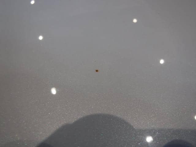 Bonnet Hood HONDA Crossroad 2007 DBA-RT3 60100SYP020ZZ — photo 2