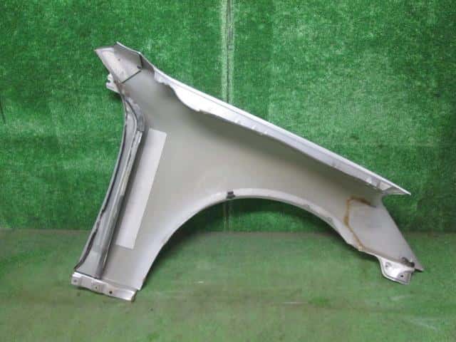 Left Fender Panel NISSAN Skyline 2002 GH-NV35 — photo 4