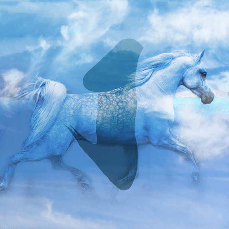 Image Ashe & Windhorse in sky