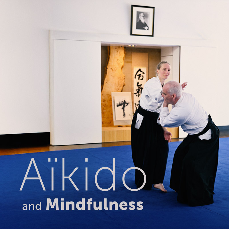 DCL/Aikido3square.jpg