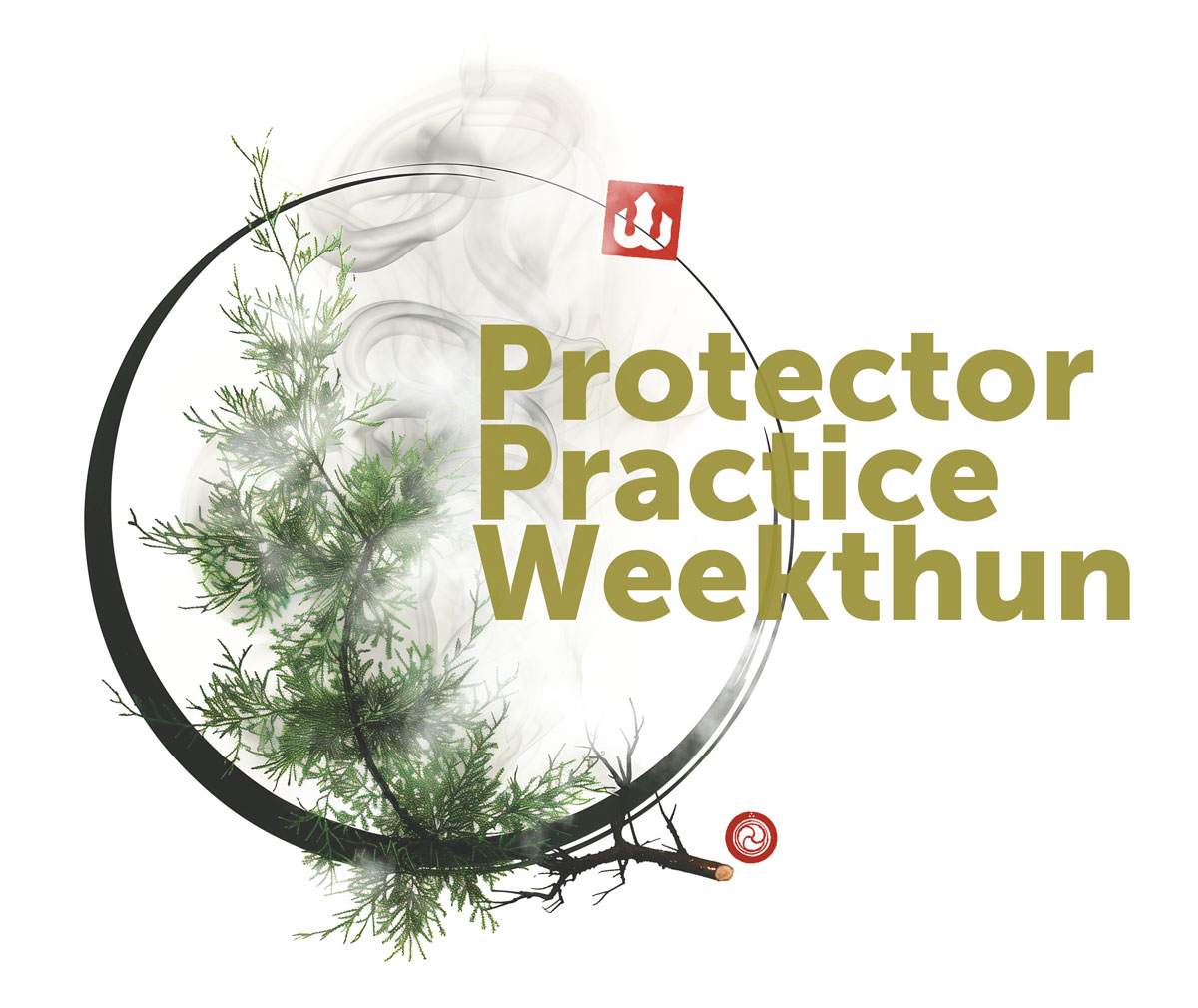DCL/_protectorWeb.jpg