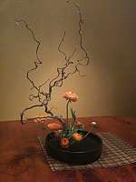 Ikebana/2014-03-16_19.38.20.jpg