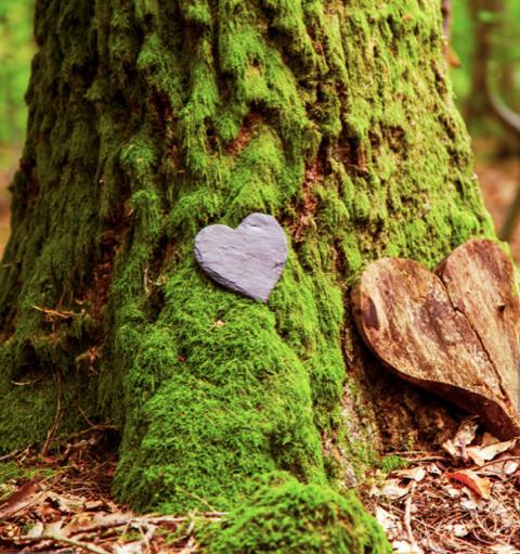 Marseille/arbre-coeur.jpg