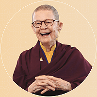 Rotterdam/Pema.png