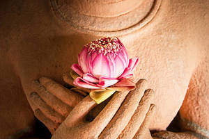 Shamb_Training_Images/Lotus_Buddha_Heart.jpg