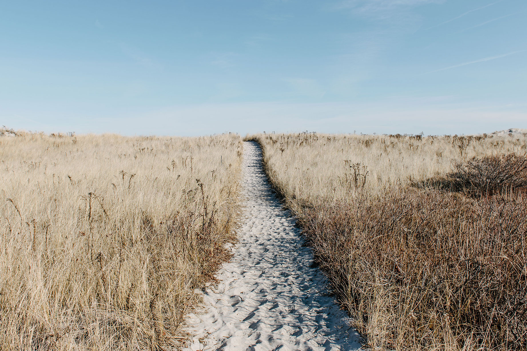 path-2.jpg